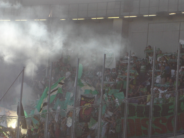 Toulouse ASSE ligue 1